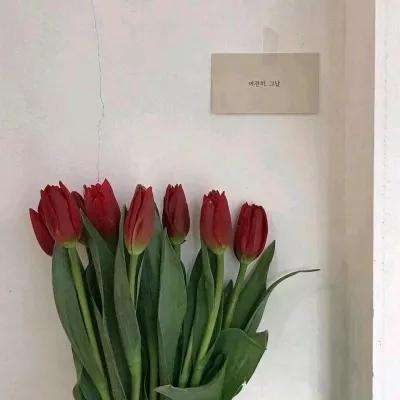 蓝色监狱pwc手游中文版下载